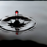 Fluid Moment Fluid Moment