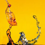 Fluid Moment Fluid Moment